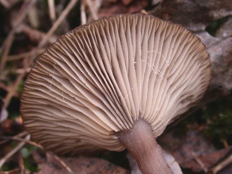 Prima escursione in montagna